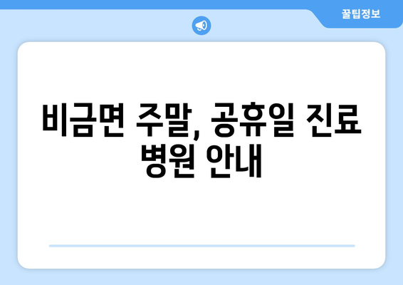 전라남도 신안군 비금면 일요일 휴일 공휴일 야간 진료병원 리스트