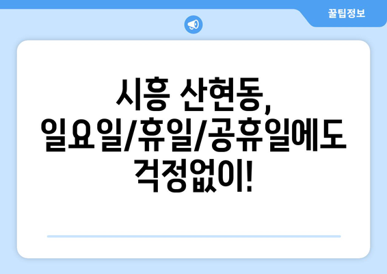 경기도 시흥시 산현동 일요일 휴일 공휴일 야간 진료병원 리스트