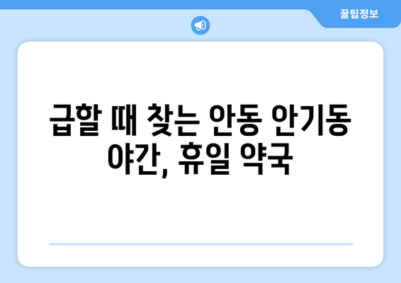 경상북도 안동시 안기동 24시간 토요일 일요일 휴일 공휴일 야간 약국