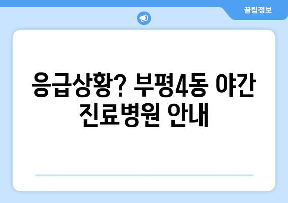 인천시 부평구 부평4동 일요일 휴일 공휴일 야간 진료병원 리스트