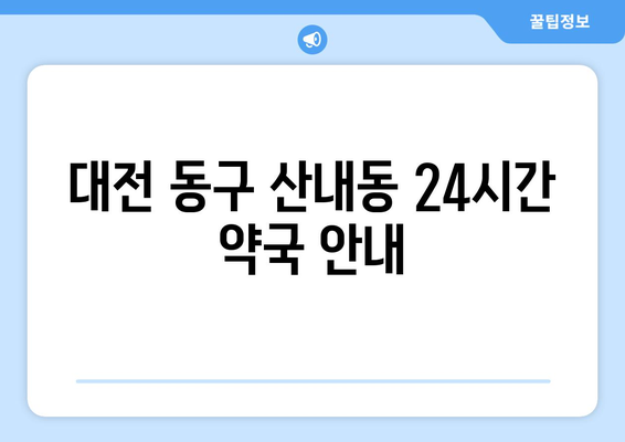 대전시 동구 산내동 24시간 토요일 일요일 휴일 공휴일 야간 약국