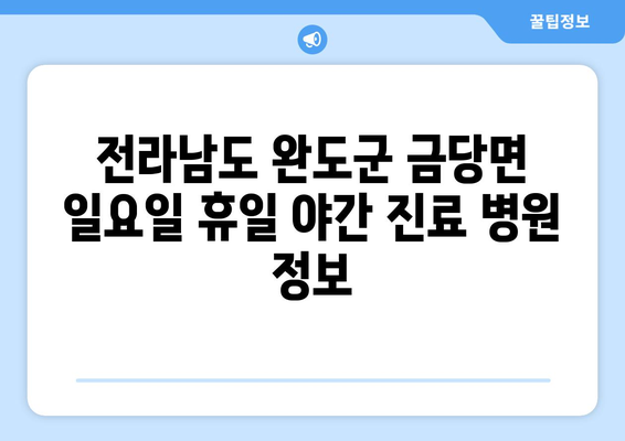 전라남도 완도군 금당면 일요일 휴일 공휴일 야간 진료병원 리스트