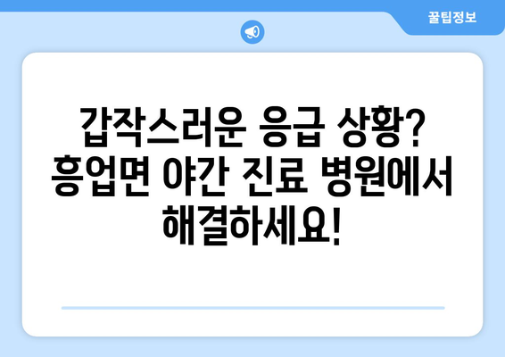 강원도 원주시 흥업면 일요일 휴일 공휴일 야간 진료병원 리스트