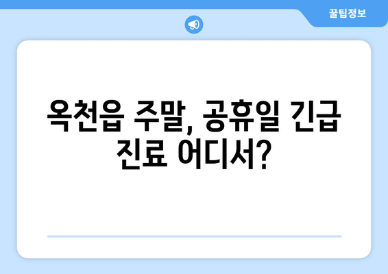 충청북도 옥천군 옥천읍 일요일 휴일 공휴일 야간 진료병원 리스트