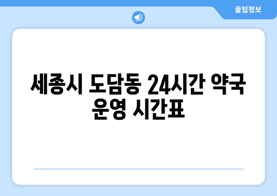 세종시 세종특별자치시 도담동 24시간 토요일 일요일 휴일 공휴일 야간 약국