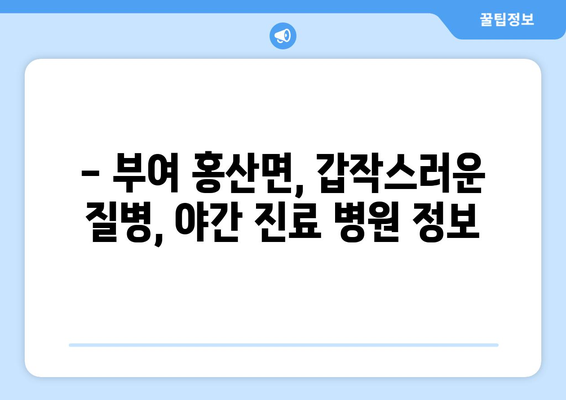 충청남도 부여군 홍산면 일요일 휴일 공휴일 야간 진료병원 리스트