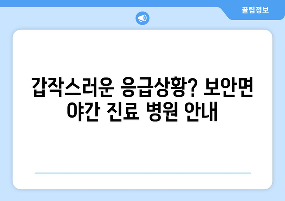 전라북도 부안군 보안면 일요일 휴일 공휴일 야간 진료병원 리스트