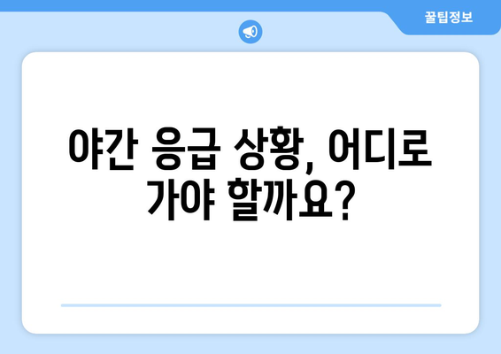 충청남도 보령시 성주면 일요일 휴일 공휴일 야간 진료병원 리스트