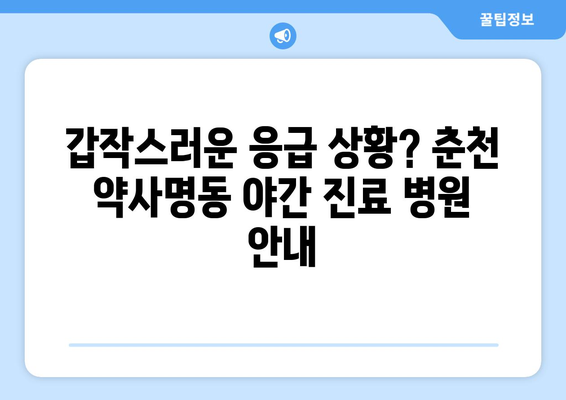 강원도 춘천시 약사명동 일요일 휴일 공휴일 야간 진료병원 리스트