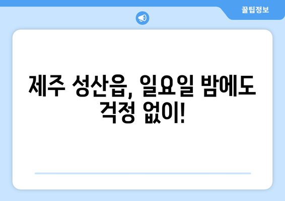 제주도 서귀포시 성산읍 일요일 휴일 공휴일 야간 진료병원 리스트