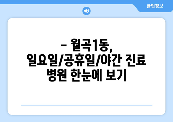 광주시 광산구 월곡1동 일요일 휴일 공휴일 야간 진료병원 리스트