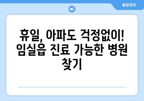 전라북도 임실군 임실읍 일요일 휴일 공휴일 야간 진료병원 리스트