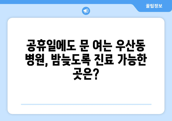 광주시 북구 우산동 일요일 휴일 공휴일 야간 진료병원 리스트