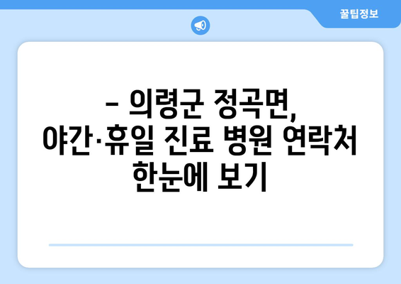 경상남도 의령군 정곡면 일요일 휴일 공휴일 야간 진료병원 리스트