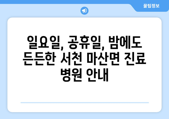 충청남도 서천군 마산면 일요일 휴일 공휴일 야간 진료병원 리스트