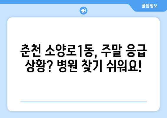 강원도 춘천시 소양로1동 일요일 휴일 공휴일 야간 진료병원 리스트