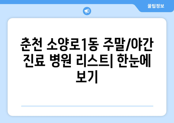 강원도 춘천시 소양로1동 일요일 휴일 공휴일 야간 진료병원 리스트