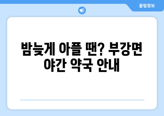 세종시 세종특별자치시 부강면 24시간 토요일 일요일 휴일 공휴일 야간 약국