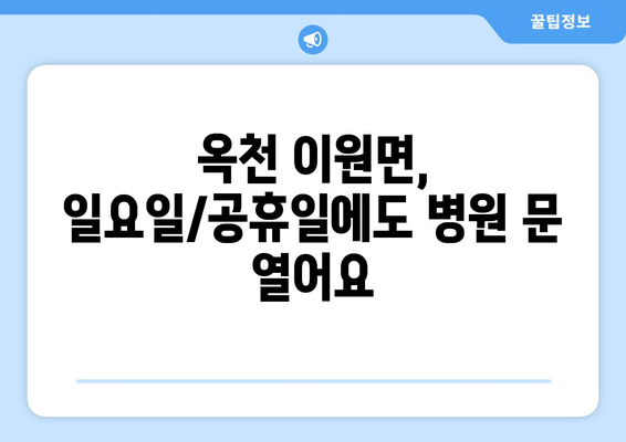 충청북도 옥천군 이원면 일요일 휴일 공휴일 야간 진료병원 리스트