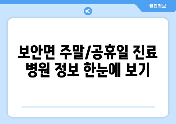 전라북도 부안군 보안면 일요일 휴일 공휴일 야간 진료병원 리스트