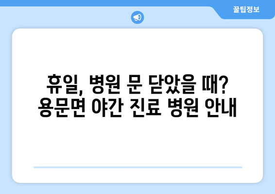 경상북도 예천군 용문면 일요일 휴일 공휴일 야간 진료병원 리스트