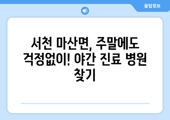 충청남도 서천군 마산면 일요일 휴일 공휴일 야간 진료병원 리스트