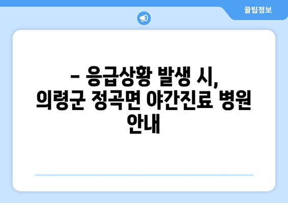 경상남도 의령군 정곡면 일요일 휴일 공휴일 야간 진료병원 리스트