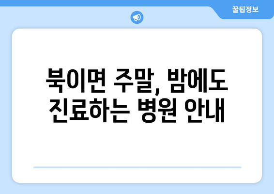 충청북도 청주시 청원구 북이면 일요일 휴일 공휴일 야간 진료병원 리스트