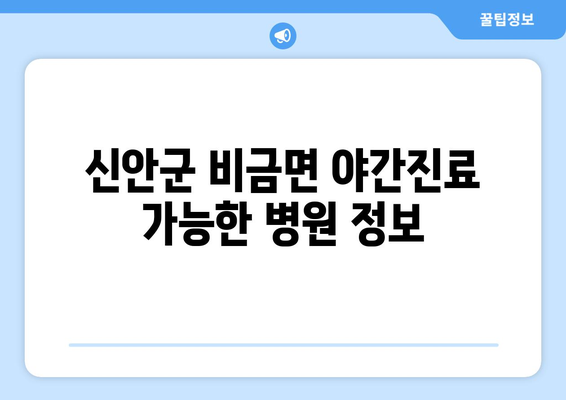 전라남도 신안군 비금면 일요일 휴일 공휴일 야간 진료병원 리스트