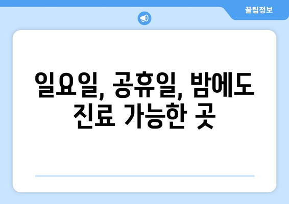 부산시 영도구 동삼2동 일요일 휴일 공휴일 야간 진료병원 리스트