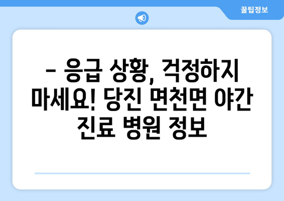 충청남도 당진시 면천면 일요일 휴일 공휴일 야간 진료병원 리스트