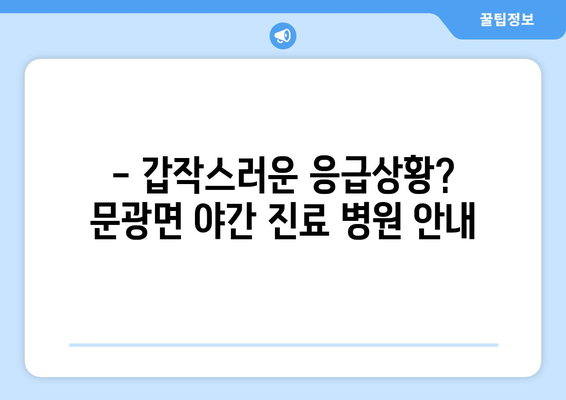 충청북도 괴산군 문광면 일요일 휴일 공휴일 야간 진료병원 리스트