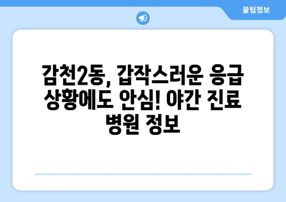 부산시 사하구 감천2동 일요일 휴일 공휴일 야간 진료병원 리스트