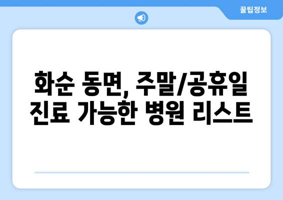 전라남도 화순군 동면 일요일 휴일 공휴일 야간 진료병원 리스트