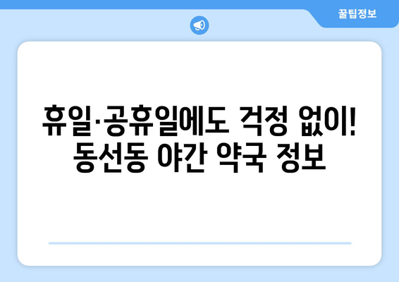 서울시 성북구 동선동 24시간 토요일 일요일 휴일 공휴일 야간 약국