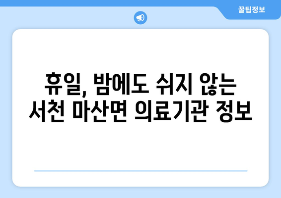 충청남도 서천군 마산면 일요일 휴일 공휴일 야간 진료병원 리스트