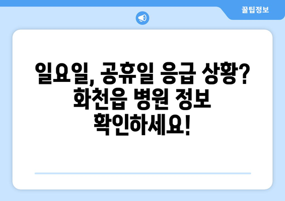 강원도 화천군 화천읍 일요일 휴일 공휴일 야간 진료병원 리스트