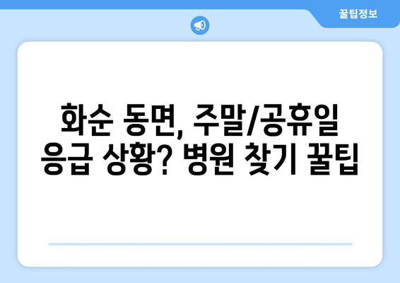 전라남도 화순군 동면 일요일 휴일 공휴일 야간 진료병원 리스트