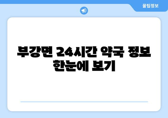 세종시 세종특별자치시 부강면 24시간 토요일 일요일 휴일 공휴일 야간 약국