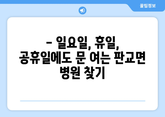 충청남도 서천군 판교면 일요일 휴일 공휴일 야간 진료병원 리스트