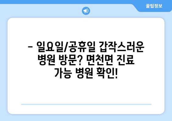 충청남도 당진시 면천면 일요일 휴일 공휴일 야간 진료병원 리스트