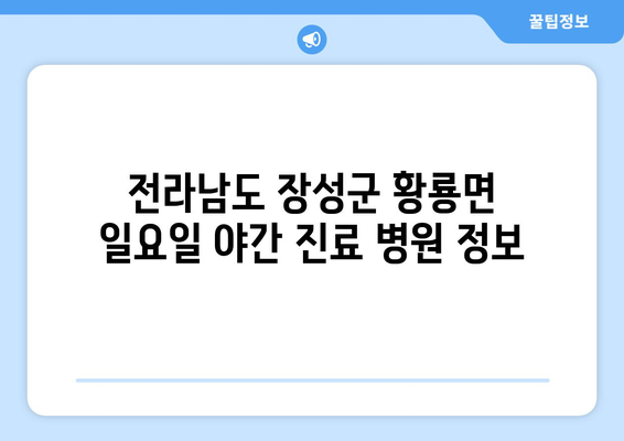 전라남도 장성군 황룡면 일요일 휴일 공휴일 야간 진료병원 리스트