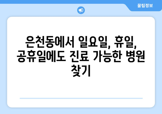 서울시 관악구 은천동 일요일 휴일 공휴일 야간 진료병원 리스트