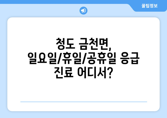 경상북도 청도군 금천면 일요일 휴일 공휴일 야간 진료병원 리스트