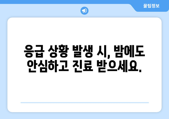 강원도 영월군 남면 일요일 휴일 공휴일 야간 진료병원 리스트