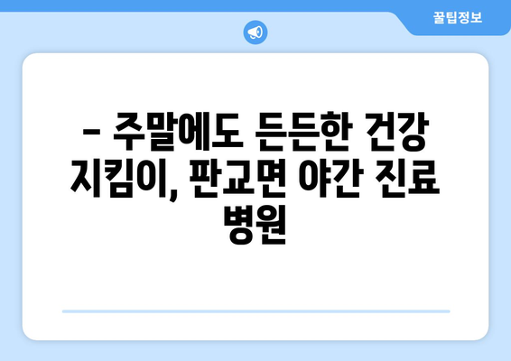 충청남도 서천군 판교면 일요일 휴일 공휴일 야간 진료병원 리스트