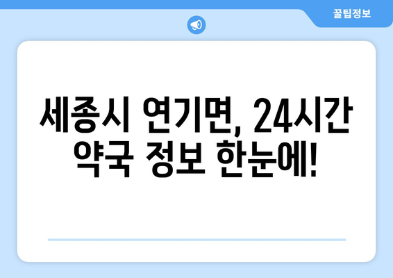 세종시 세종특별자치시 연기면 24시간 토요일 일요일 휴일 공휴일 야간 약국