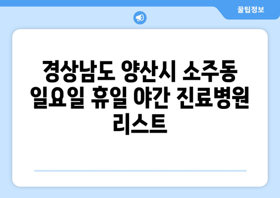 경상남도 양산시 소주동 일요일 휴일 공휴일 야간 진료병원 리스트