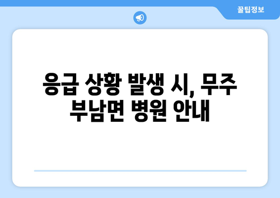 전라북도 무주군 부남면 일요일 휴일 공휴일 야간 진료병원 리스트