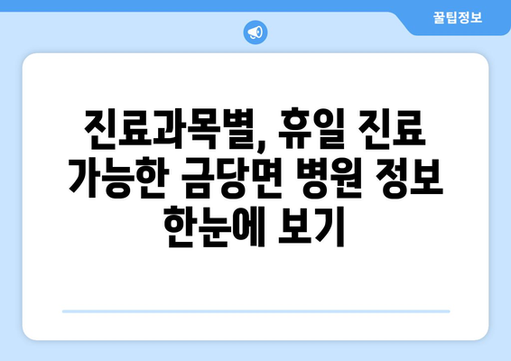 전라남도 완도군 금당면 일요일 휴일 공휴일 야간 진료병원 리스트